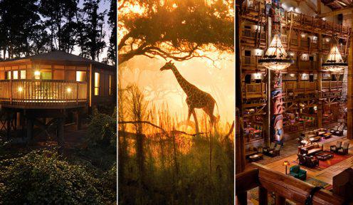 Disney Resorts Facts
