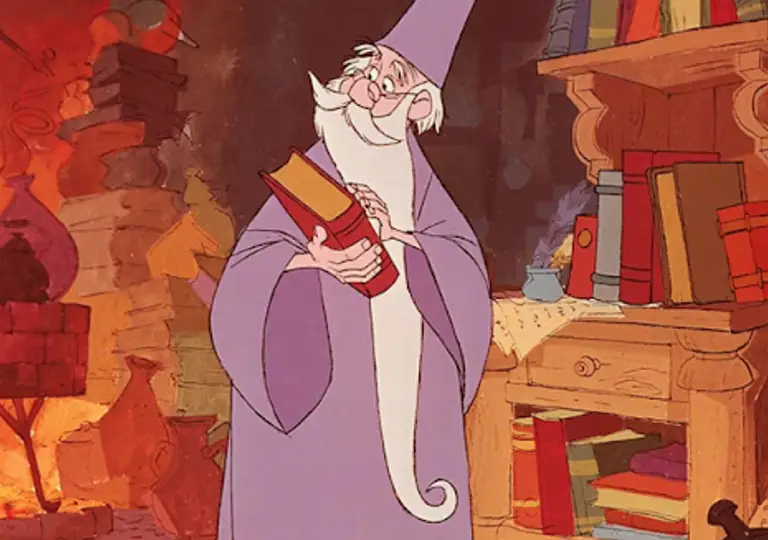 Wizard from the Sword and The Stone