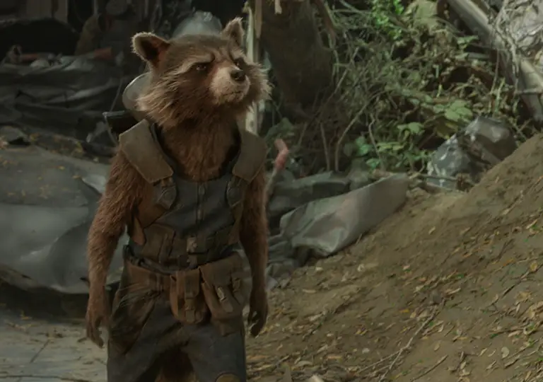 ROCKY RACOON