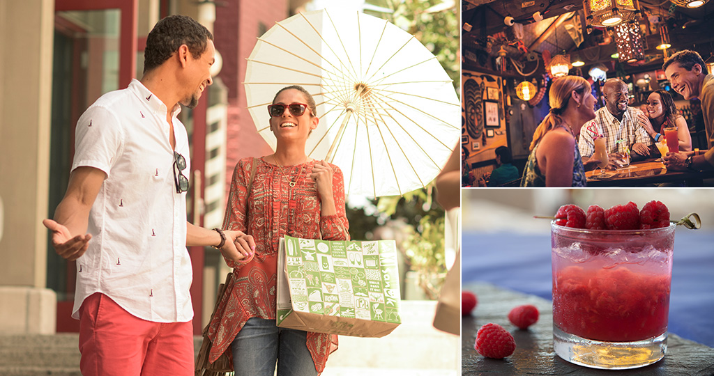 Adult's Guide to Walt Disney World Resort