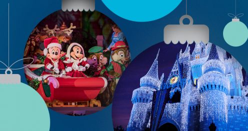 Disney Magic Kingdom During the Holidays