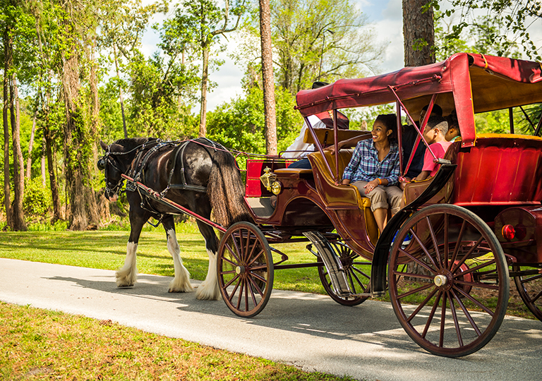 disney carriage ride at disney's fort wilderness resort