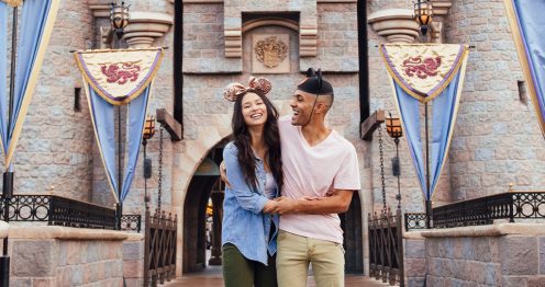 Disneyland guests castle