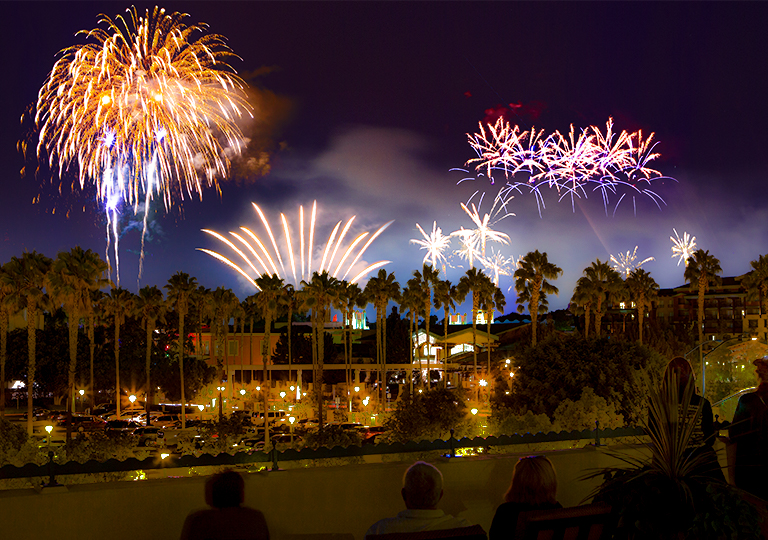 Fireworks at the Disneyland® Resort Hotels Disney® Visa® Credit Card