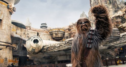 Chewy in front of the millennial falcon