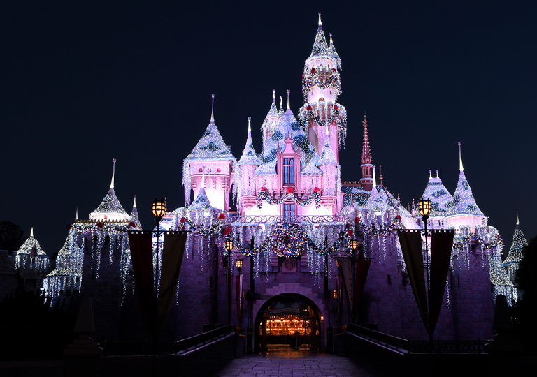 Disney Holiday Sleeping Beauty Castle