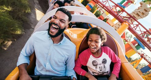 Top Disney Card Perks to Utilize | Disney® Visa® Credit Cards