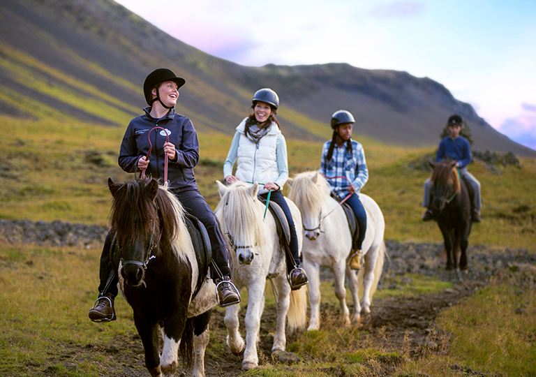 Group of friends riding horses