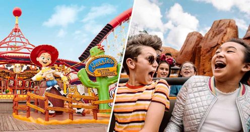 Bes Disney attractions