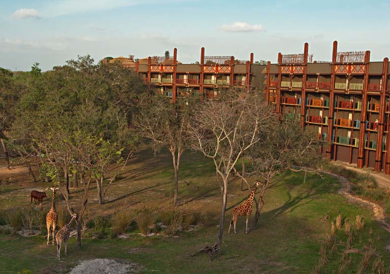 Jambo House