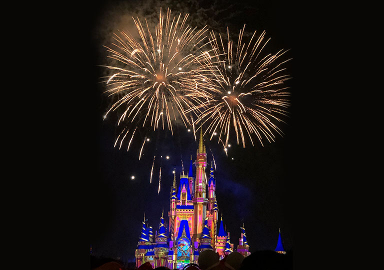 Disney Castle