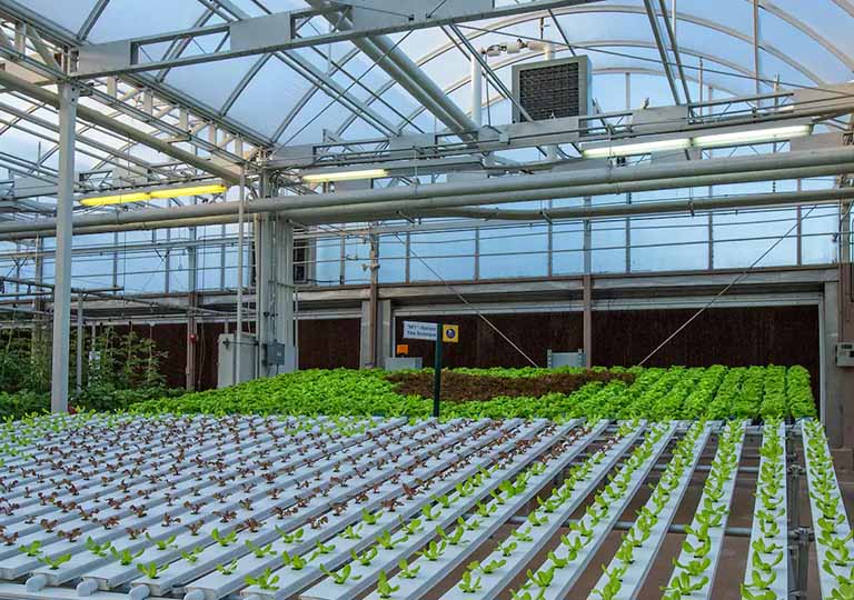 Living with the Land