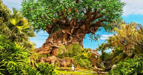Tree of Life
