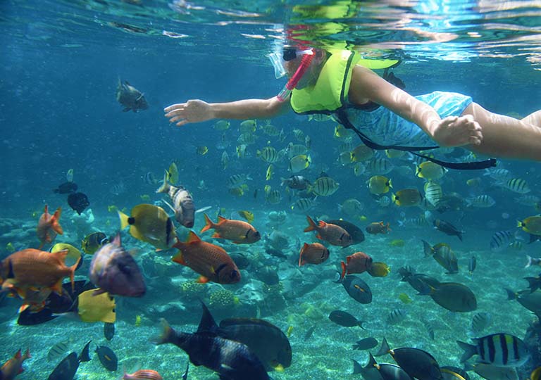 Kid swimming with fish at Aulani Resort