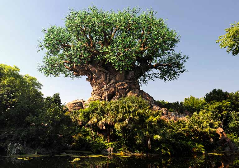 Tree of Life