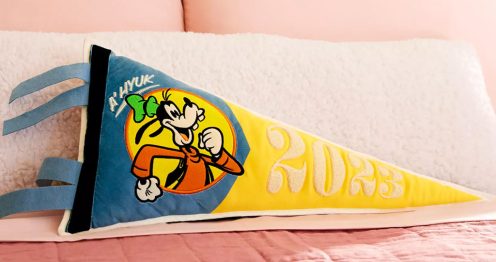 Goofy pillow