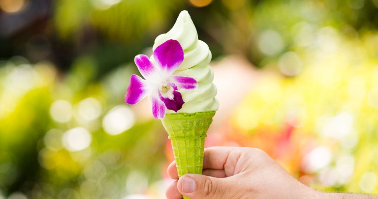 Where to Find DOLE Whip<sup>&reg;</sup> at <em>Walt Disney World</em><sup>&reg;</sup> Resort and the <em>Disneyland</em><sup>&reg;</sup> Resort
