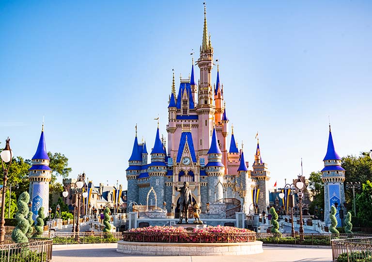 Walt Disney World® Resort castle