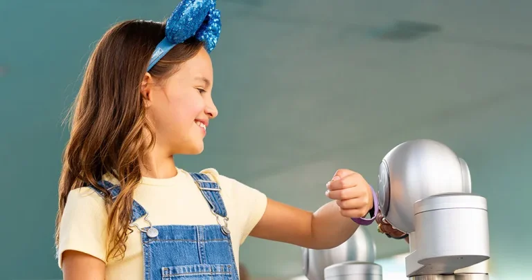 Which Disney Parks Ticket Option is Right for You?