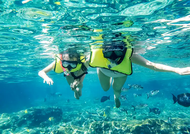 Guests snorkeling