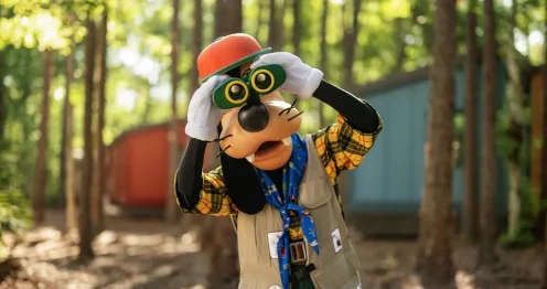 Goofy looking through Binoculars at a campsite