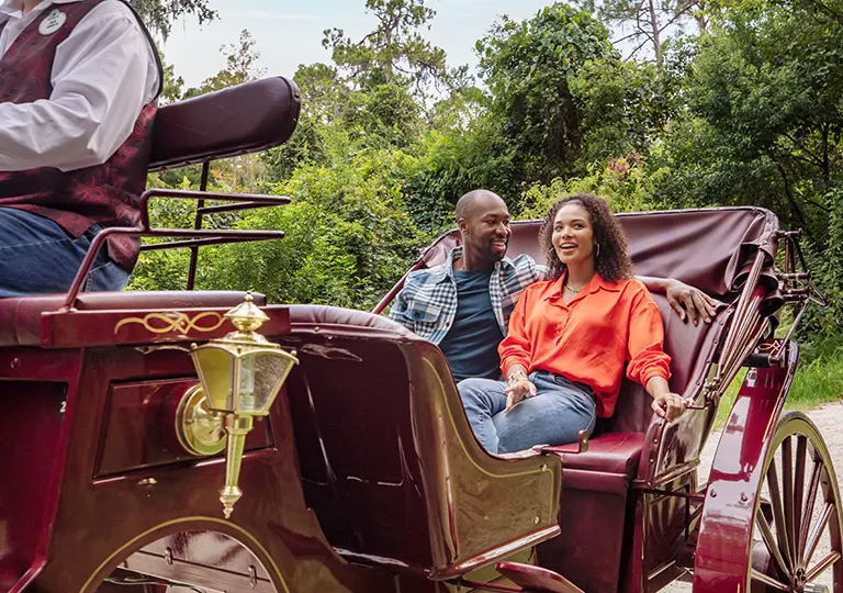 Carriage Ride
