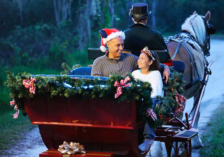 Christmas Sleigh Ride