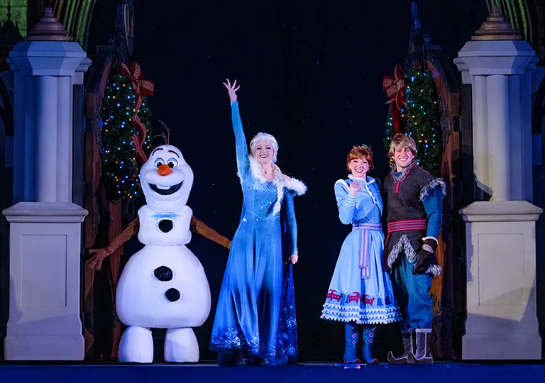 Frozen Holiday Surprise