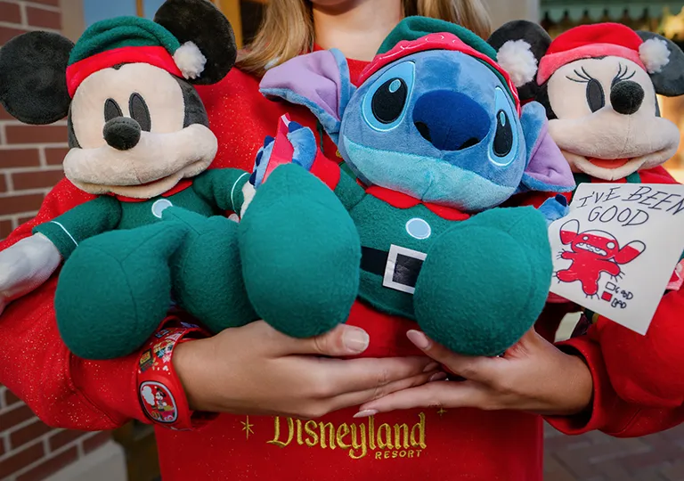 Downtown Disney&reg; District merchandise