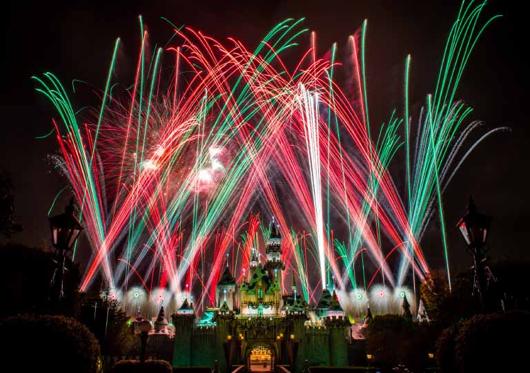 Sleeping Beauty's Winter Castle