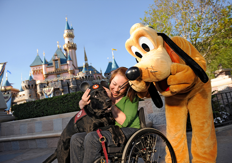 Pluto with guest and pet