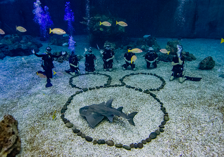 SCUBA-certified tour