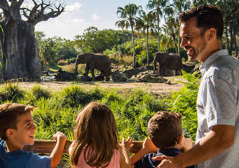 Family observing the elephants.