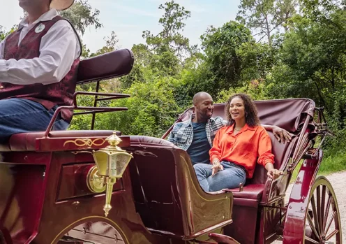 Carriage ride at Disney