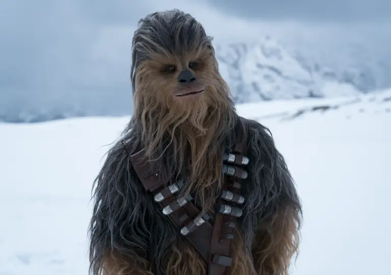 Chewbacca and snow
