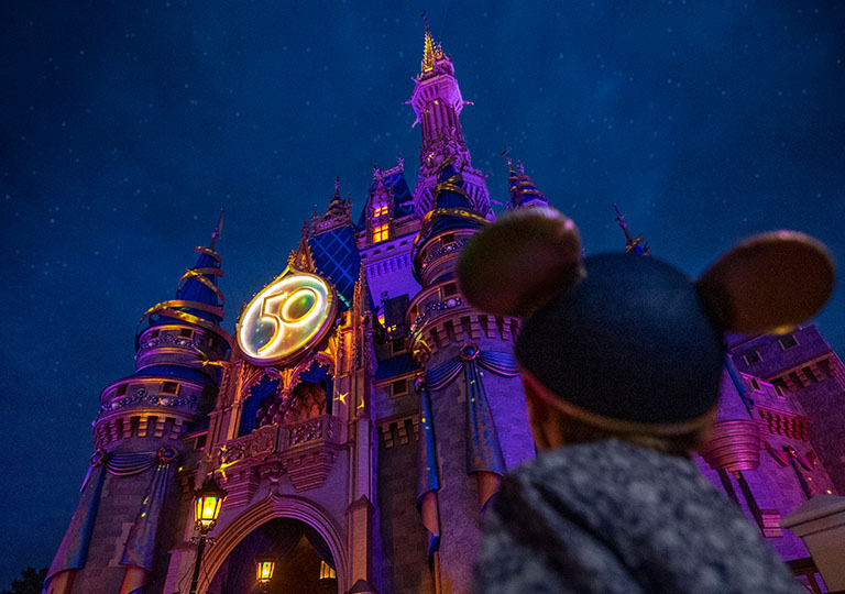 Walt Disney World Castle