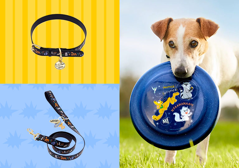 Dog Products: collar, frisbee and leash