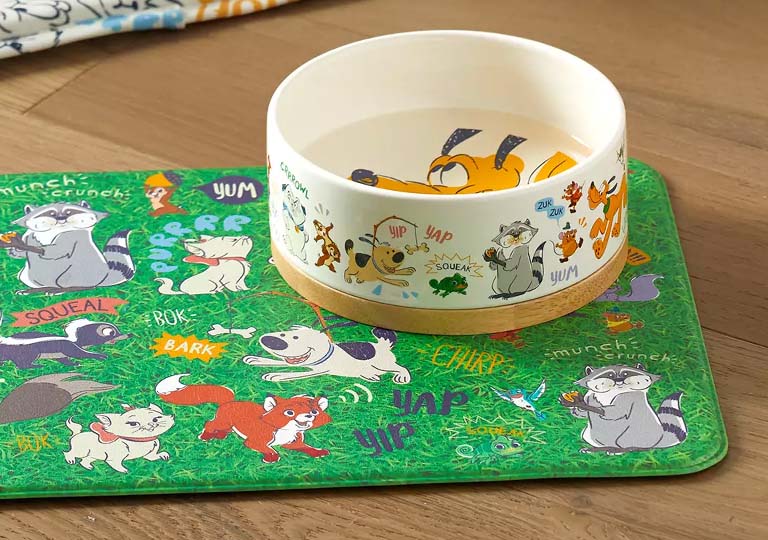 Dog Products: dog bowl and mat