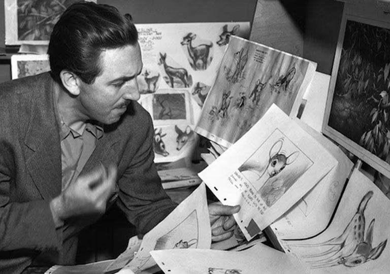 Animation Experience