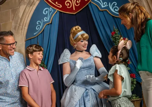 Cinderella with guests