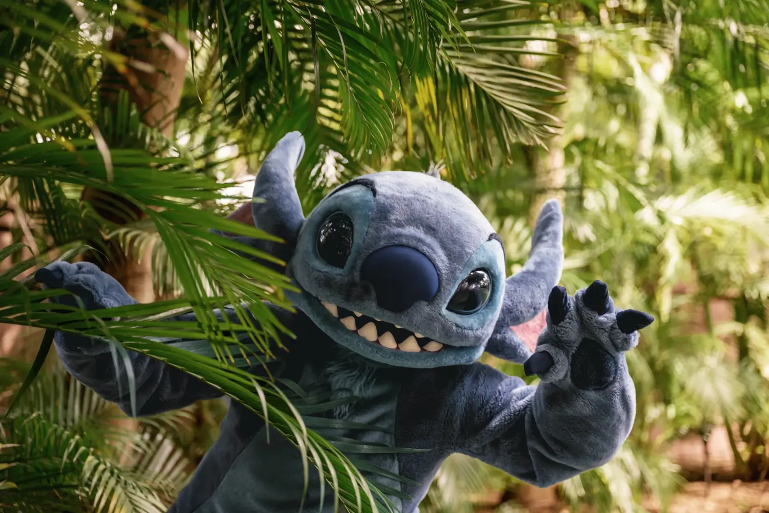 Stitch in a tree.
