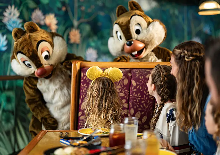 Chip &lsquo;n&rsquo; Dale&rsquo;s Harvest Feast