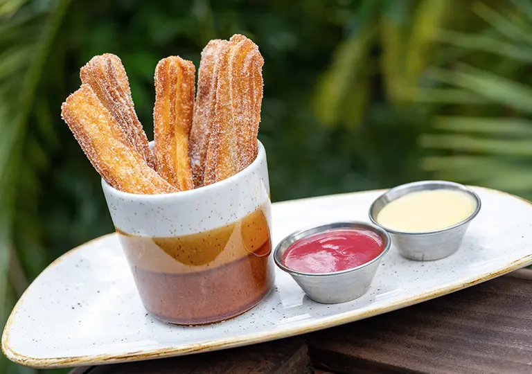 Churros with vanilla creme and strawberry-guava sauce