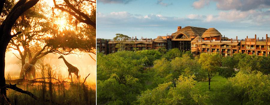 Disney Animal Kingdom Lodge Savanna