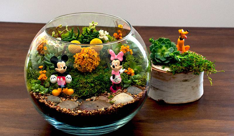 Creating a Garden in a Terrarium