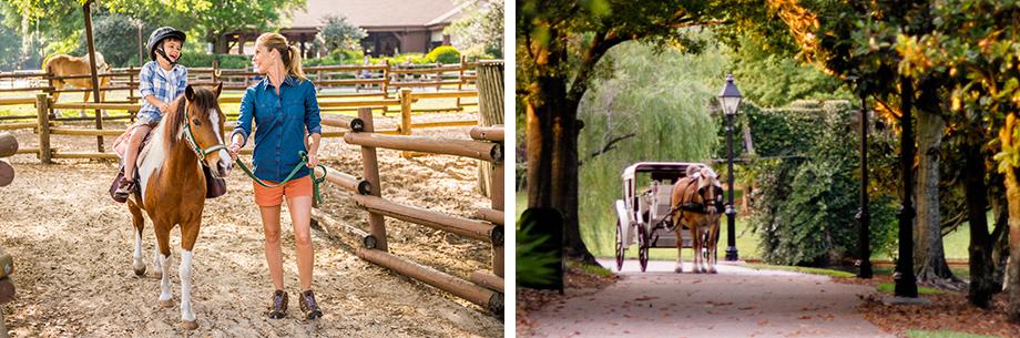 Walt Disney World Horse Riding 