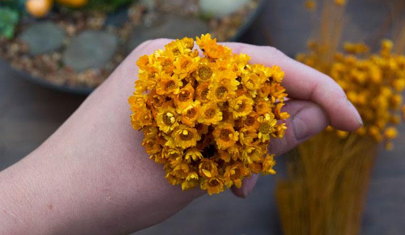 Mickey Shaped Flower DIY Step 2