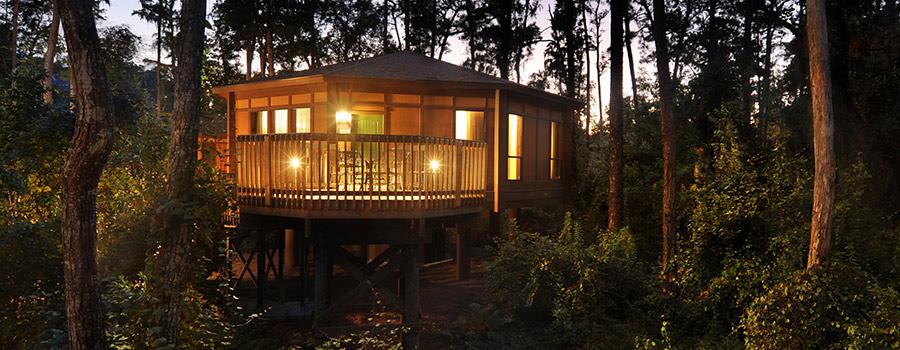 Saratoga Springs Treehouse Villas