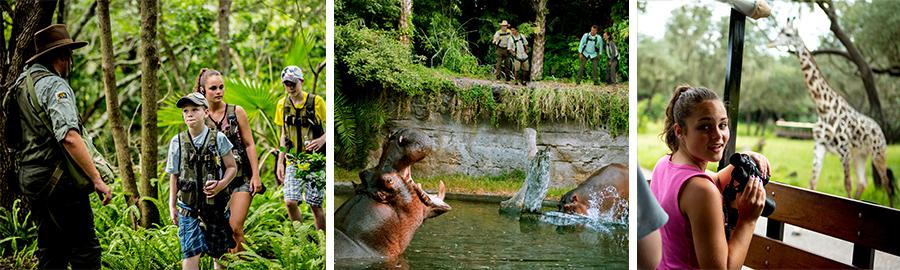 Disney Wild Africa Trek